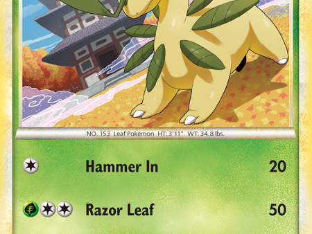 Bayleef (35 123) [HeartGold & SoulSilver: Base Set] Discount