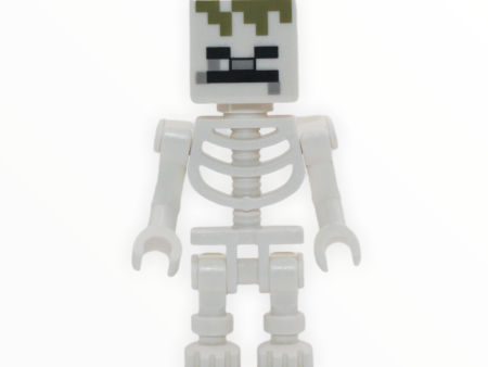 Minecraft Skeleton (Dungeons) Cheap